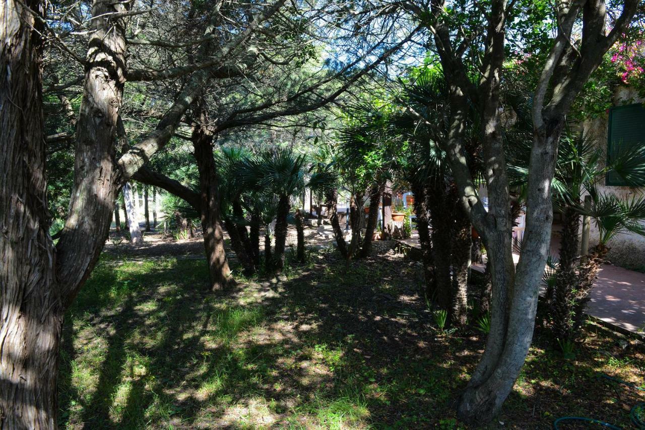 Villa Margherita Alguer Exterior foto